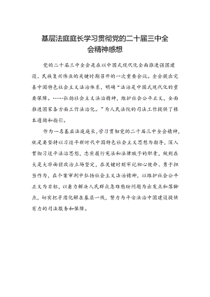 基层法庭庭长学习贯彻党的二十届三中全会精神感想.docx