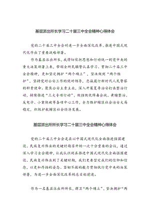 基层派出所长学习二十届三中全会精神心得体会（共五篇）.docx