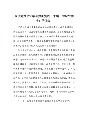 乡镇党委书记学习贯彻党的二十届三中全会精神心得体会.docx