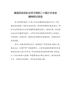 基层经侦支队长学习党的二十届三中全会精神研讨发言.docx