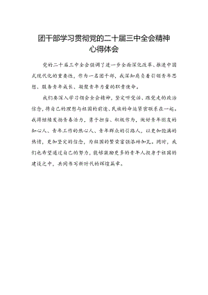 团干部学习贯彻党的二十届三中全会精神心得体会范本.docx