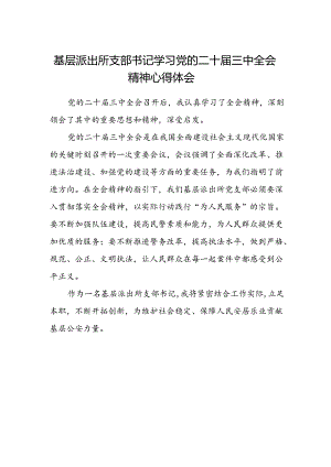 基层派出所支部书记学习党的二十届三中全会精神心得体会.docx