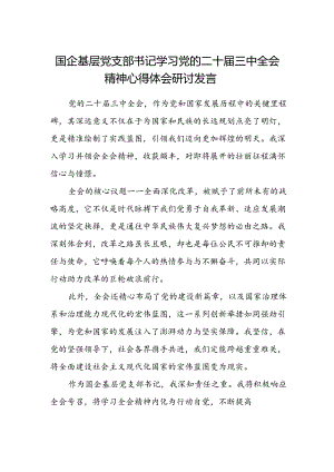 国企基层党支部书记学习党的二十届三中全会精神心得体会研讨发言.docx