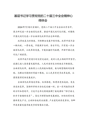 基层书记学习贯彻党的二十届三中全会精神心得体会.docx