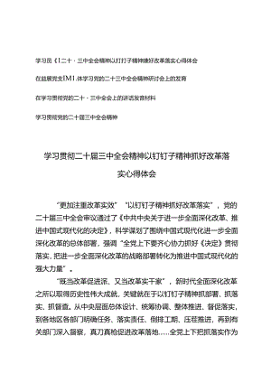 4篇 党支部学习二十届三中全会精神以钉钉子精神抓好改革落实心得体会.docx