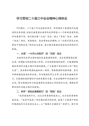 学习贯彻二十届三中全会精神心得体会.docx
