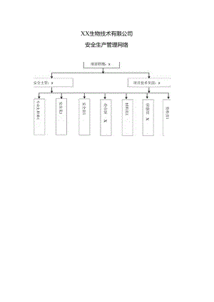 XX建筑装饰工程有限公司安全生产管理网络（2024年）.docx