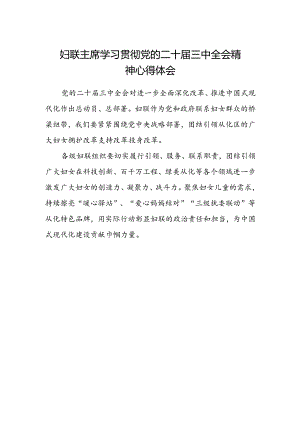妇联主席学习贯彻党的二十届三中全会精神心得体会.docx