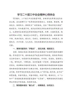 公司党员干部学习二十届三中全会精神心得体会.docx