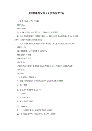 《地震中的父与子》教案优秀5篇.docx