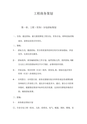 工程商务项目策划.docx