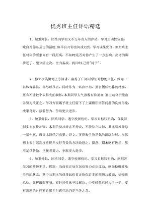优秀班主任评语精选.docx