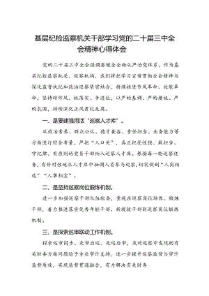 基层纪检监察机关干部学习党的二十届三中全会精神心得体会.docx