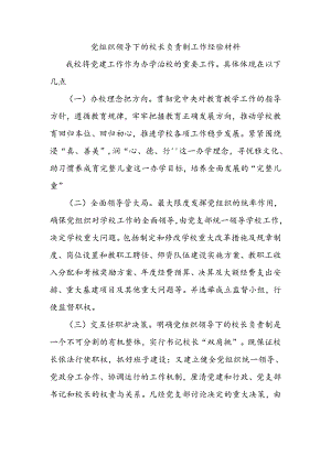 党组织领导下的校长负责制工作经验材料.docx