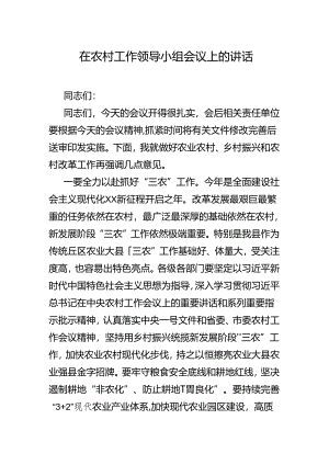 在农村工作领导小组会议上的讲话.docx