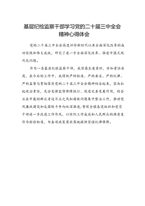 基层纪检监察干部学习党的二十届三中全会精神心得体会.docx