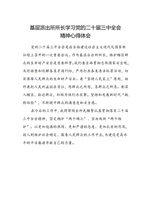 基层派出所所长学习党的二十届三中全会精神心得体会范文 .docx