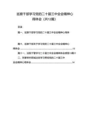 巡察干部学习党的二十届三中全会精神心得体会（共12篇选择）.docx