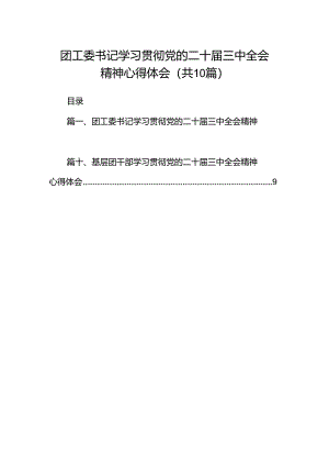 团工委书记学习贯彻党的二十届三中全会精神心得体会十篇（精选）.docx
