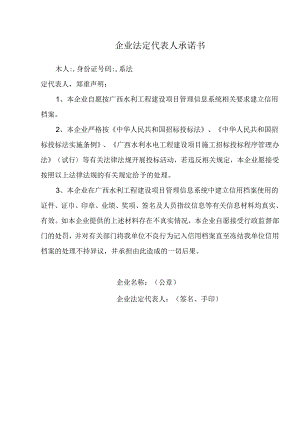 企业法定代表人承诺书.docx