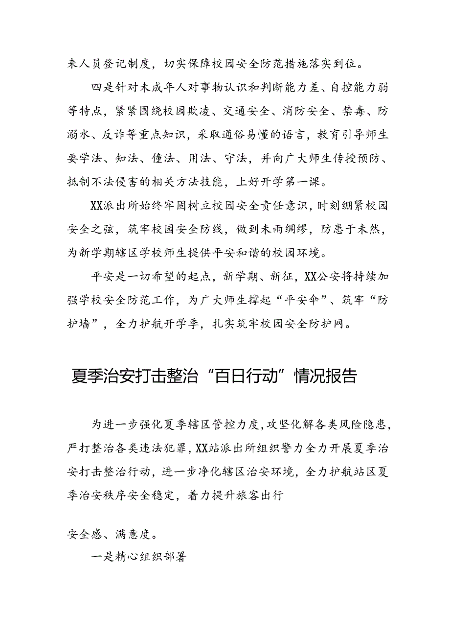 四篇派出所2024年夏季治安打击整治行动情况报告.docx_第2页