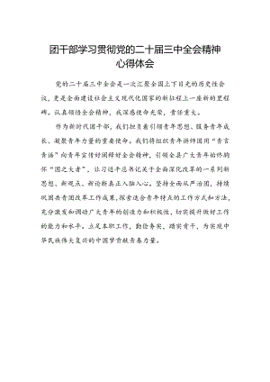 团干部学习贯彻党的二十届三中全会精神心得体会 .docx