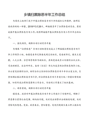 乡镇扫黑除恶半年工作总结.docx