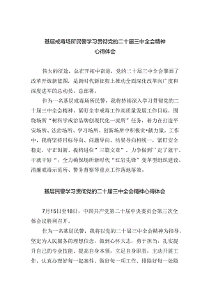 基层戒毒场所民警学习贯彻党的二十届三中全会精神心得体会5篇（详细版）.docx