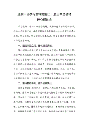 巡察干部学习贯彻党的二十届三中全会精神心得体会.docx