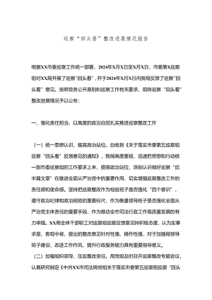 巡察“回头看”整改进展情况报告.docx