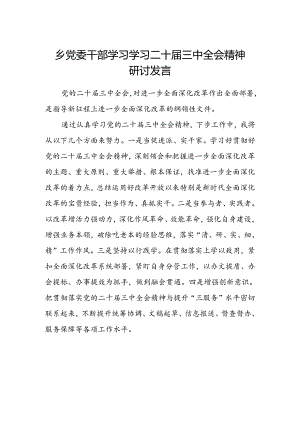 乡党委干部学习学习二十届三中全会精神研讨发言.docx