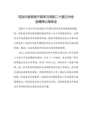 司法行政系统干部学习党的二十届三中全会精神心得体会.docx