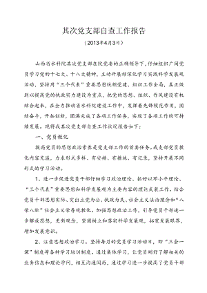 党支部自查报告.docx