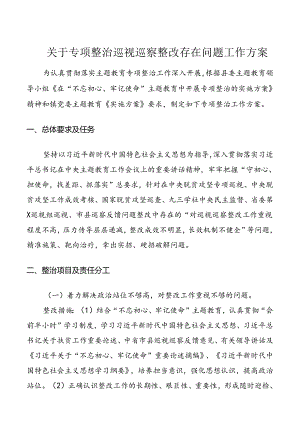 关于专项整治巡视巡察存在问题整改工作方案.docx