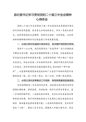 县纪委书记学习贯彻党的二十届三中全会精神心得体会.docx