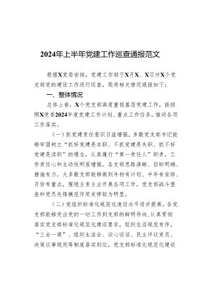 2024年上半年党建工作巡查通报范文.docx