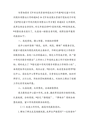 国土资源党组窗口作风整治工作自查报告.docx