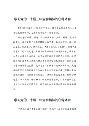 学习贯彻二十届三中全会精神的心得体会发言稿三十篇.docx