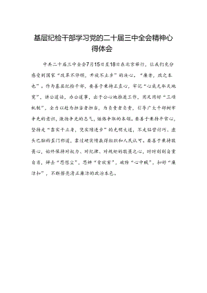 基层纪检干部学习党的二十届三中全会精神心得体会.docx