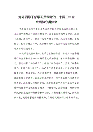 党外领导干部学习贯彻党的二十届三中全会精神心得体会.docx