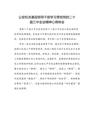 公安机关基层领导干部学习贯彻党的二十届三中全会精神心得体会.docx