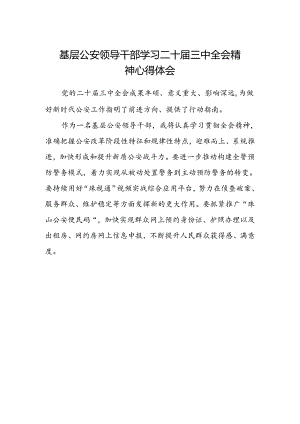 基层公安领导干部学习二十届三中全会精神心得体会.docx