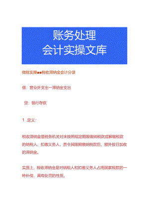 做账实操-税收滞纳金会计分录.docx