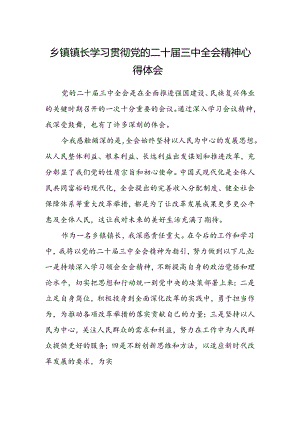 乡镇镇长学习贯彻党的二十届三中全会精神心得体会.docx