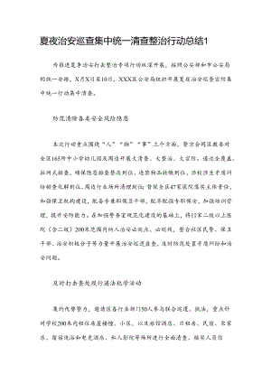 夏夜治安巡查集中统一清查整治行动总结.docx