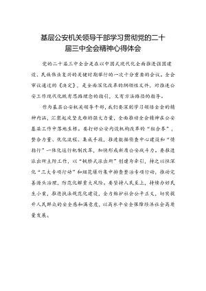 基层公安机关领导干部学习贯彻党的二十届三中全会精神心得体会 .docx