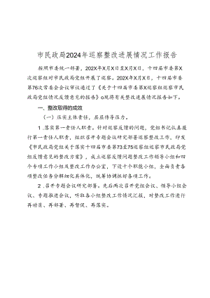 市民政局2024年巡察整改进展情况工作报告.docx