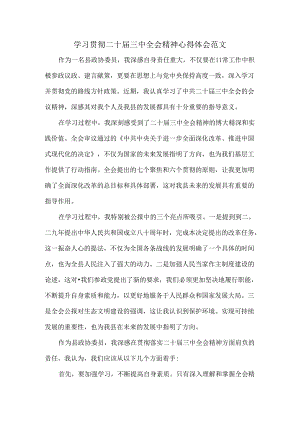 学习贯彻二十届三中全会精神心得体会范文.docx