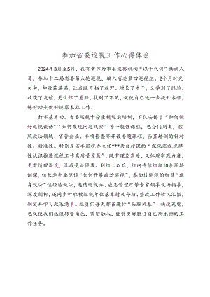 参加省委巡视工作心得体会（巡察）（巡察）.docx