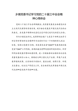 乡镇党委书记学习党的二十届三中全会精神心得体会.docx